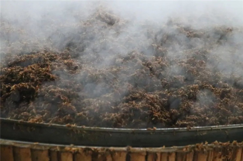 1665566012417623.jpg 10.jpg